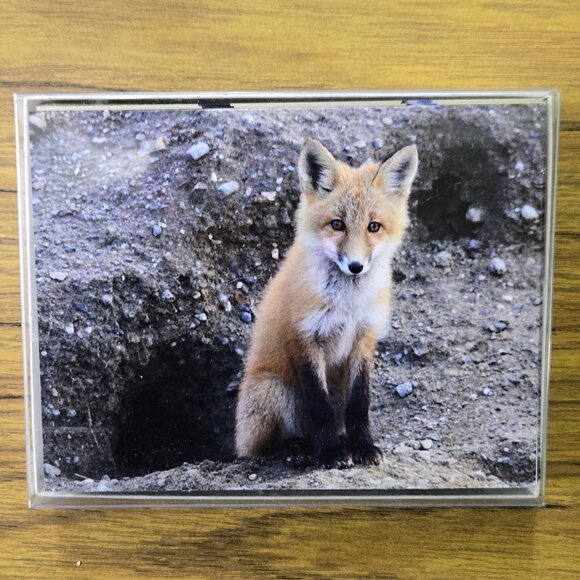 Four Boxes of Blank Notecards with Wildlife (12 to a box, 48 cards total) - Picture 8 of 9